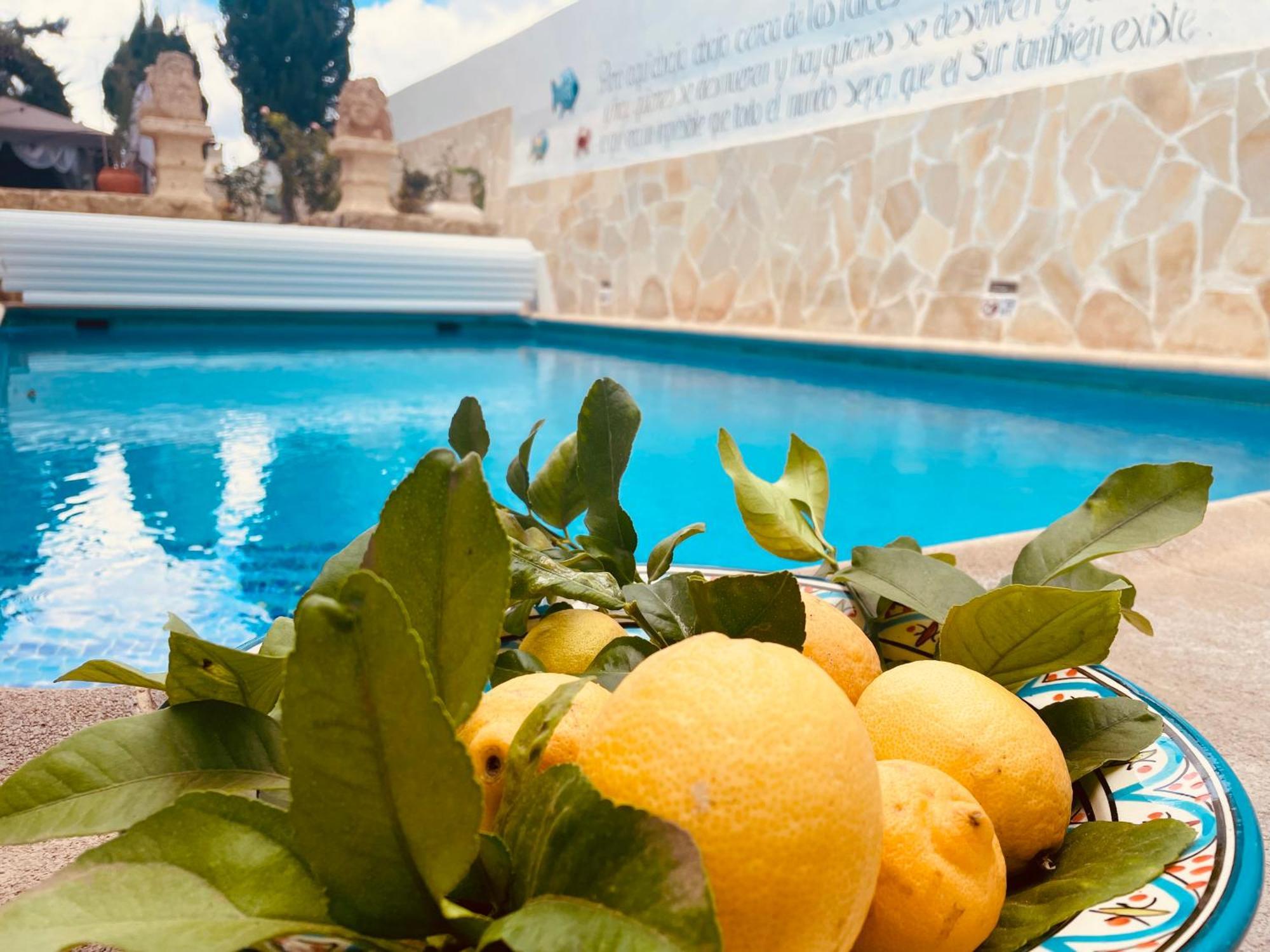Authentic Canary Style Villa With Private Pool And Garden- Casa Juan Vera Granadilla De Abona Exteriér fotografie